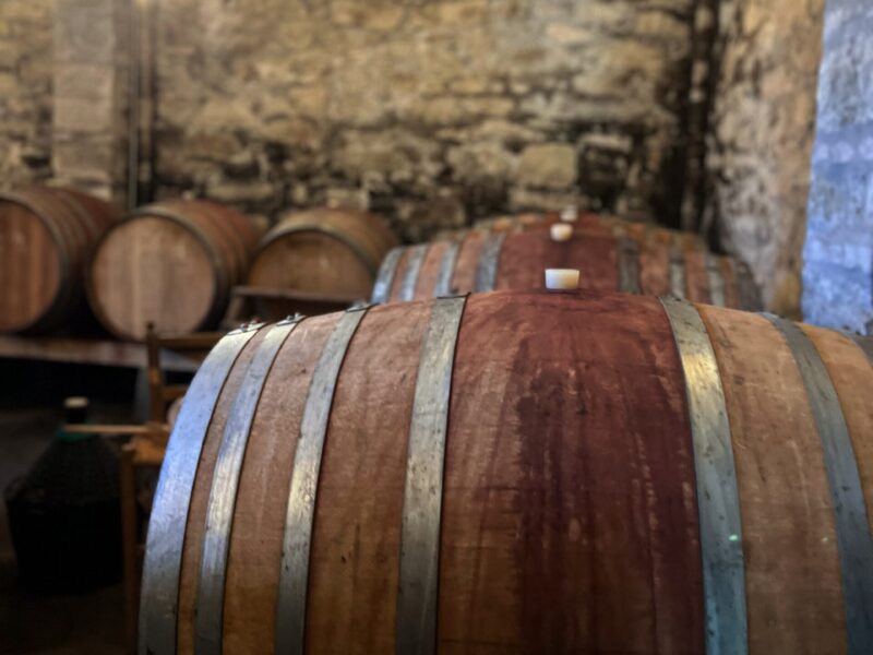 Scopri Terra Greta: l’anima della vigna “Terra Bianca”