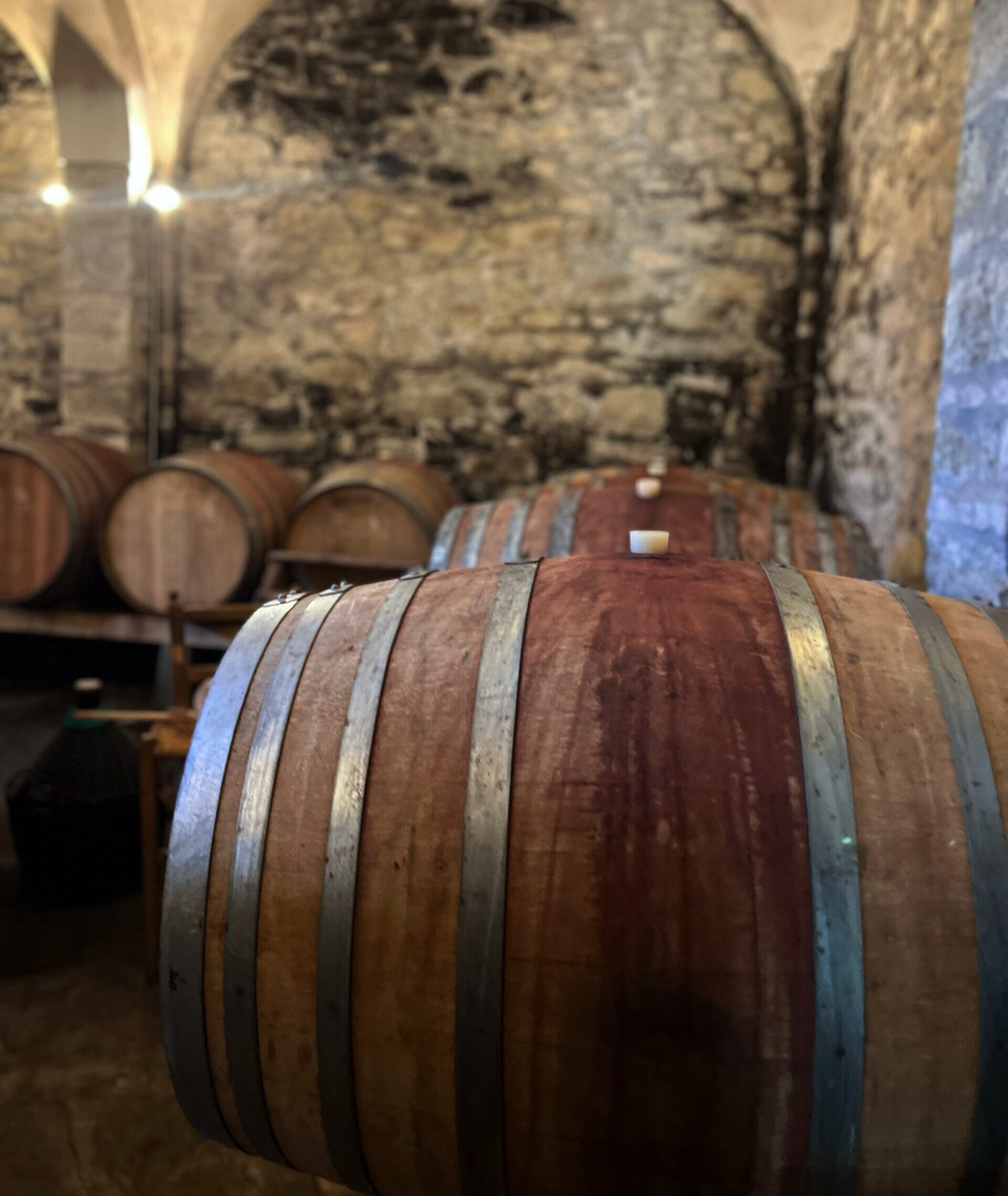 Discover Terra Greta: the soul of the Terra Bianca vineyard